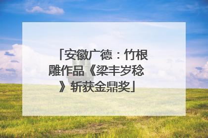 安徽广德：竹根雕作品《梁丰岁稔》斩获金鼎奖